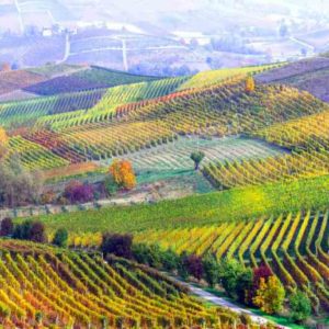 Piedmont: Classic Car Tour through the land of thousand hills