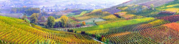 Piedmont: Classic Car Tour through the land of thousand hills