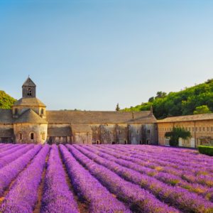 Classic Car tour through Provence